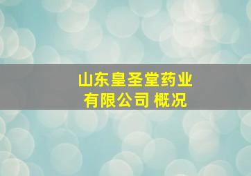 山东皇圣堂药业有限公司 概况